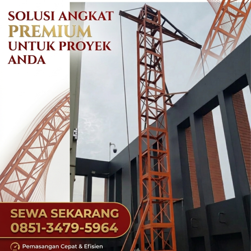 sewa hoist crane mesuji
